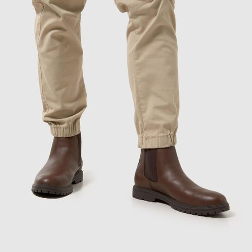 Dalton in Brown
